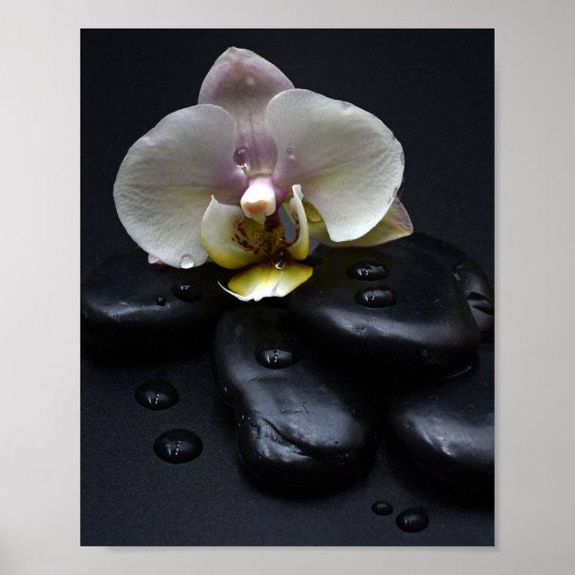 Poster Orchidée blanche sur pierres noires (Devant)