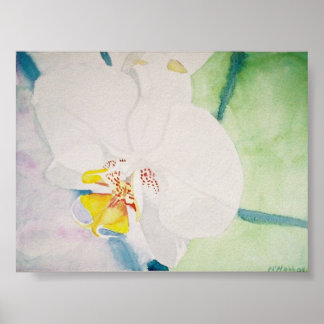Poster orchidée jaune