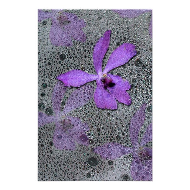 Poster Orchidée marine (Devant)