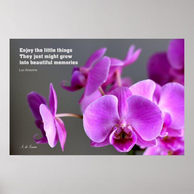 Poster Orchidée mauve lilas violet, citation inspirante (Devant)