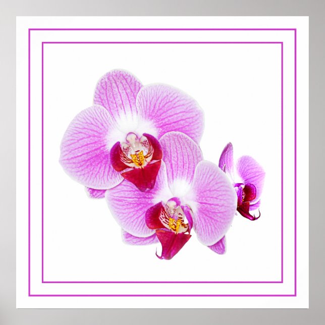 Poster Orchidée violette Closeup Floral Photographie (Devant)