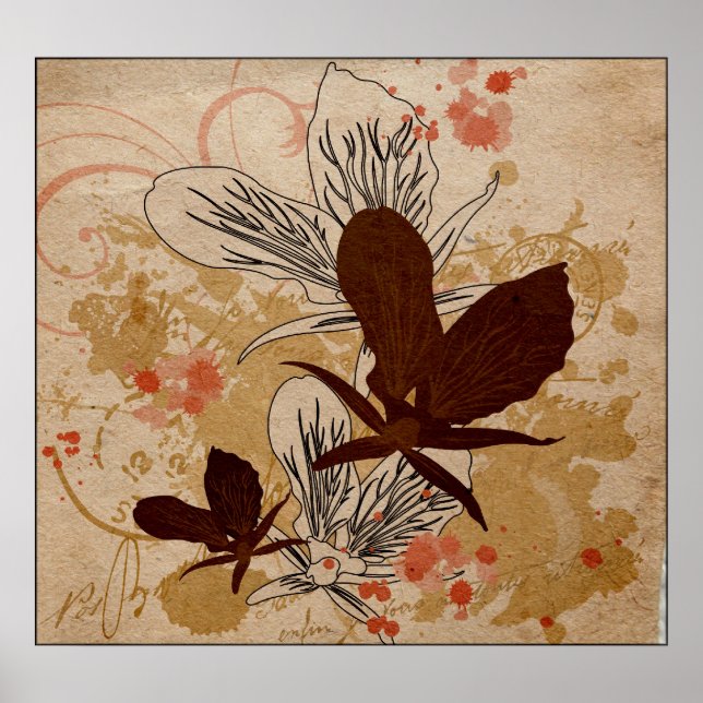 Poster Orchidées (Devant)