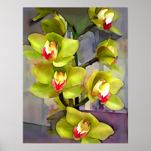 Poster Orchidées Cymbidium Vert