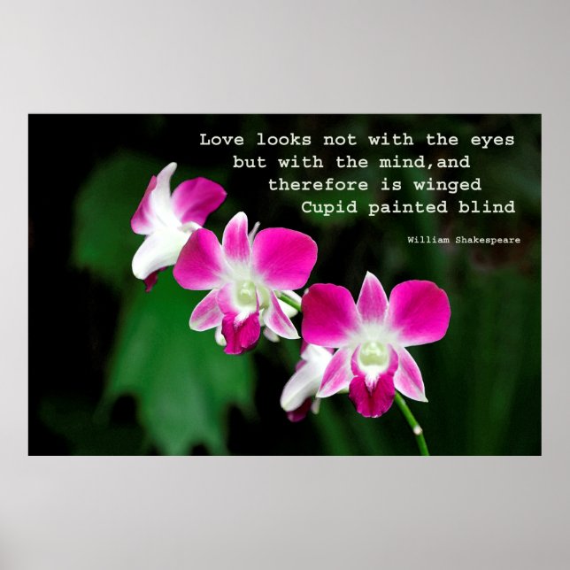 Poster Orchidées en aquarelle (Devant)