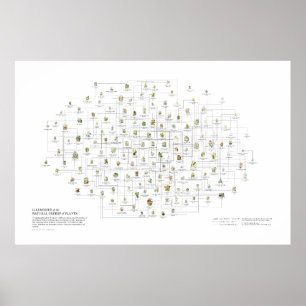 Poster Ordre naturel des Plantes - Likènes