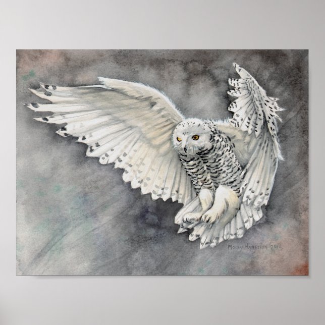 Poster Oreille des neiges Aquarelle descendante Faune (Devant)