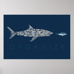 Poster Organisez les poissons