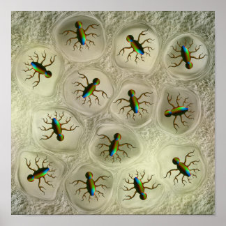 Poster Organismes microscopiques abstraits dans une matri