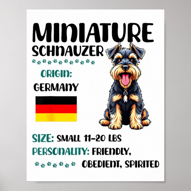 Poster Origine du Schnauzer nain Schnauzer mini drôle Lo (Devant)