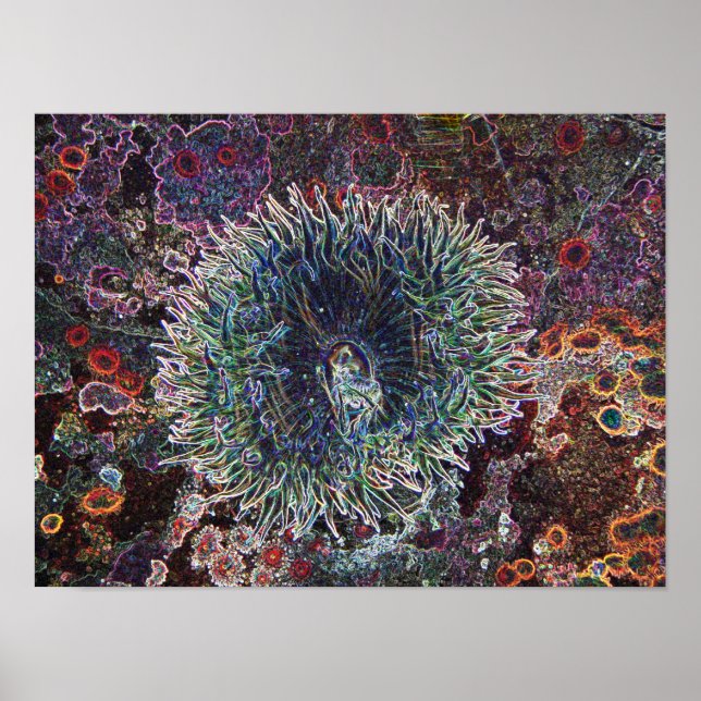 Poster Origines cellulaires (Devant)