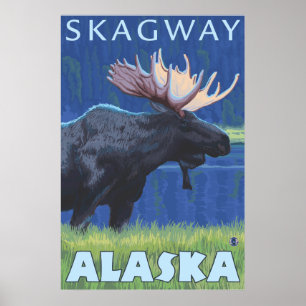 Poster Orignaux la nuit - Skagway, Alaska