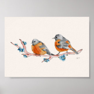 Poster Orioles aquarelles