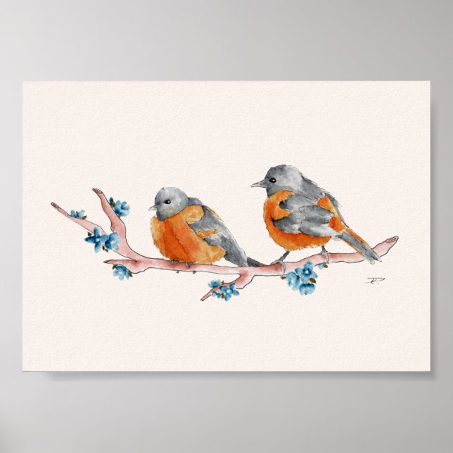 Poster Orioles aquarelles (Devant)