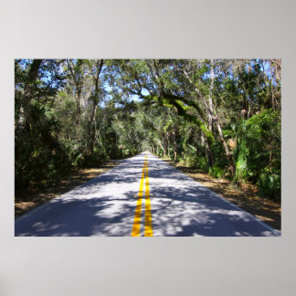 Poster Ormond Beach Loop