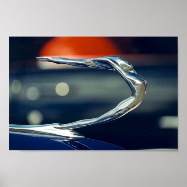 Poster ornement (Devant)