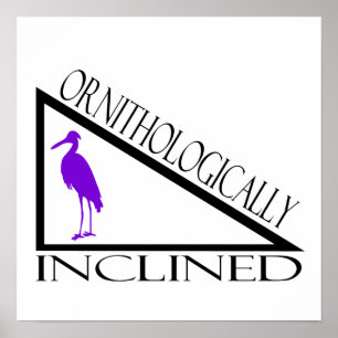 Poster Ornithologiquement incliné