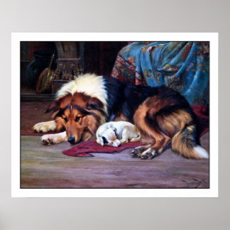 Poster Orphan Puppy et un Collie - par Wright Barker