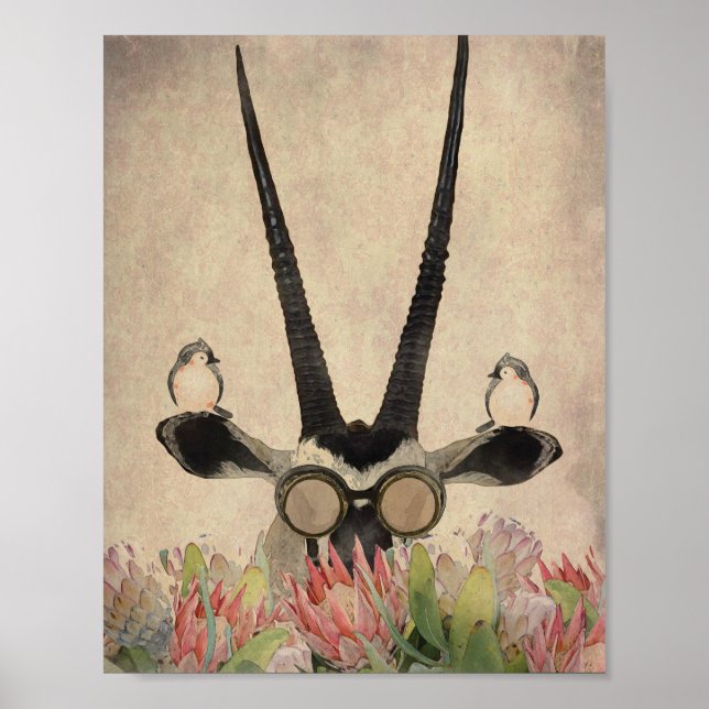 Poster Oryx derrière les fleurs Protea (Devant)
