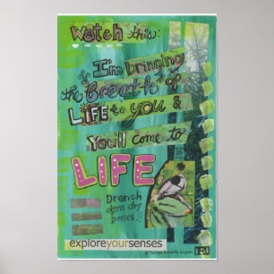Poster Os de DEM