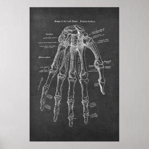 Poster Os de l'anatomie de surface palmaire gauche
