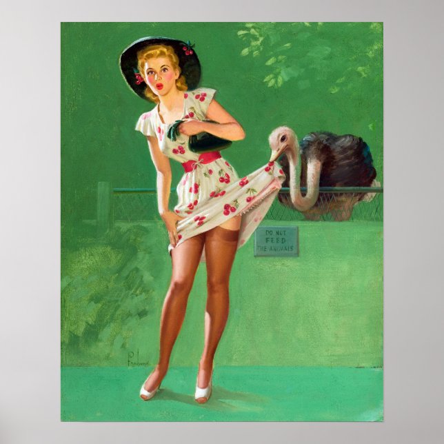 Poster Ostrich Pin Up (Devant)