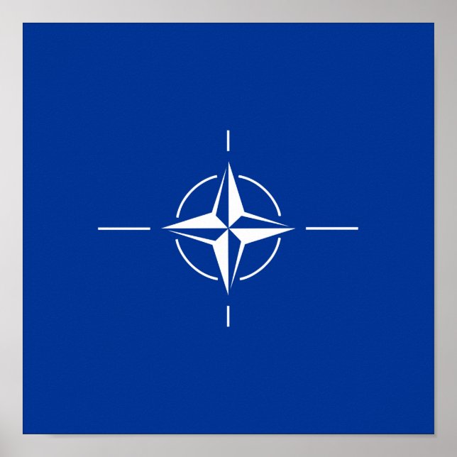 Poster OTAN Atlantic Treaty Organization Allia (Devant)