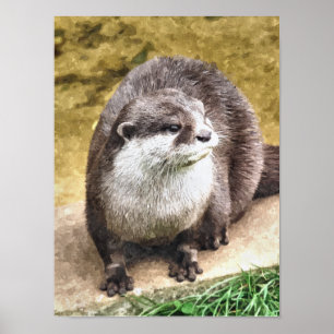POSTER OTTER