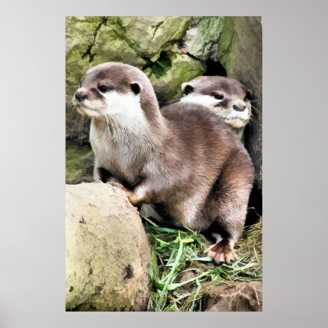 POSTER OTTERS (Devant)