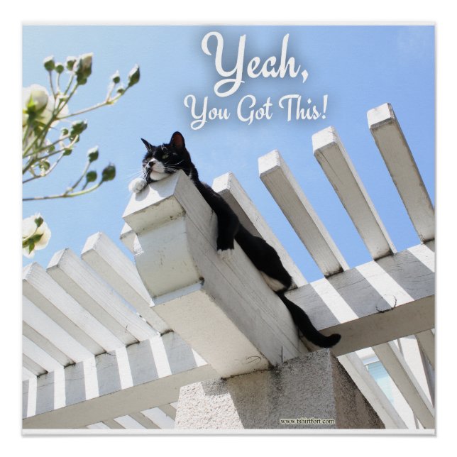 Poster Ouais Vous Avez Cette Encourageante Photo Chat (Devant)