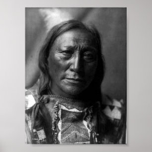 Poster Ours à corne blanche