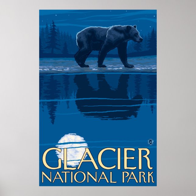 Poster Ours au clair de lune - Parc national des Glaciers (Devant)