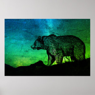 Poster Ours De Nuit Et Aurora Borealis