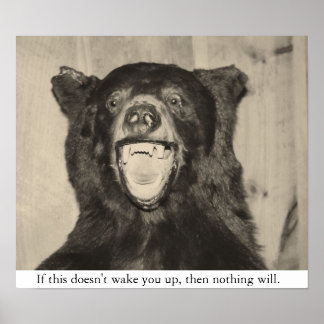 Poster Ours effrayant