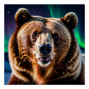 Poster Ours grizzli et aurores boréales