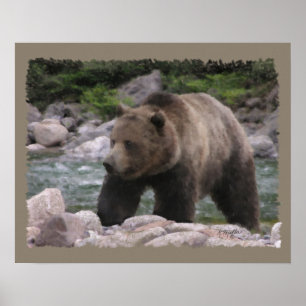 Poster Ours grizzly - Pastels