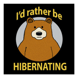 Poster Ours mignon et drôle Plutôt être en hibernation