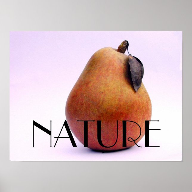 Poster Ours NATURE (Devant)