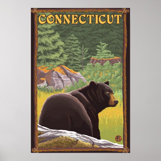 Poster Ours noir Connecticut en forêt (Devant)