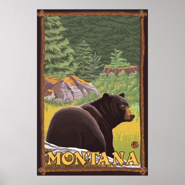 Poster Ours noir en forêt - Montana (Devant)