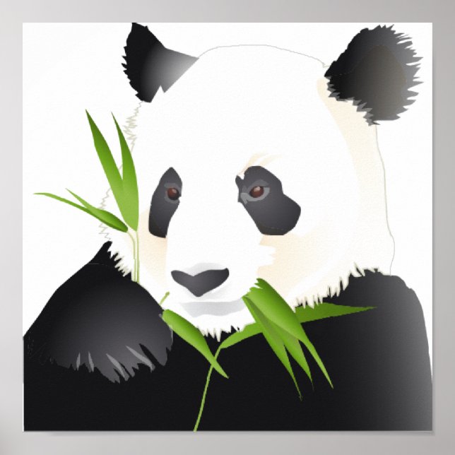 Poster Ours Panda (Devant)