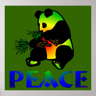 Poster Ours panda de paix