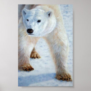 Poster Ours polaire