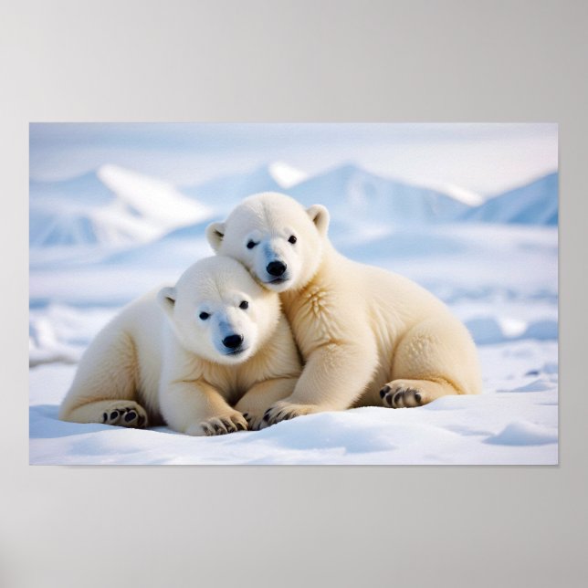 Poster Ours polaire Animal Nature Animaux Affection Faune (Devant)