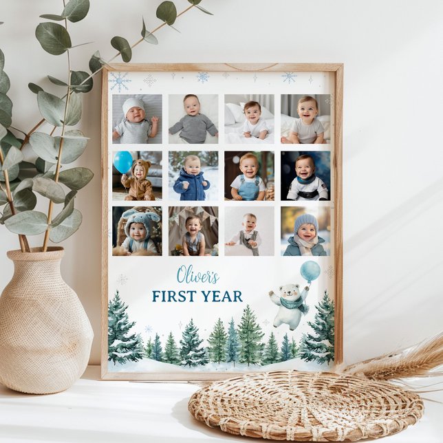 Poster Ours polaire d'hiver Première année Photo Jalon Si (Créateur téléchargé)