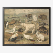 Ours polaire et amis animaux arctiques Vintages