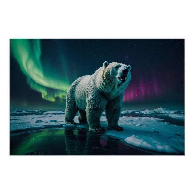 Poster Ours polaire et Aurora (Devant)