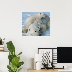 Poster Ours polaire et petits amoureux de la faune
