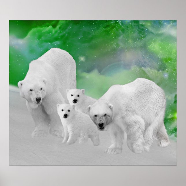 Poster Ours polaires, oursons et feux nord (Devant)