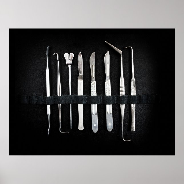 Poster Outils d'embaumement d'antiquités assortis (Devant)
