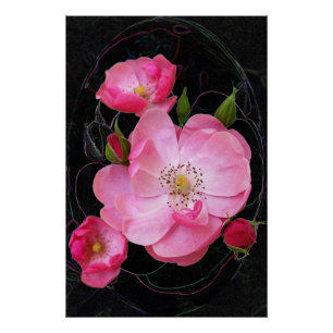 Poster ouverture de minuscule rosebud